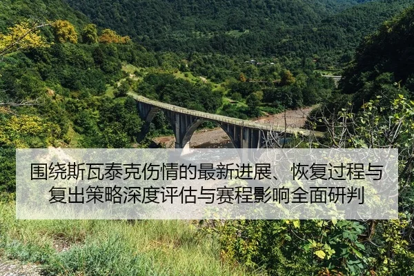 wei-rao-si-wa-tai-ke-shang-qing-de-zui-xin-jin-zhan-hui-fu-guo-cheng-yu-fu-chu-ce-lve-shen-du-ping-gu-yu-sai-cheng-ying-2-362.jpg